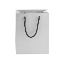 230gsm Matte Gift Bag - 33cm Silver Front